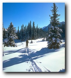 Cross-Country Skiing